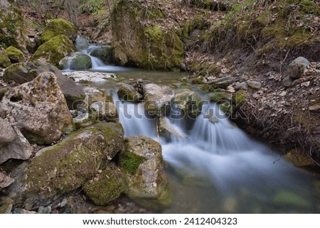 Long exposure stream photo in forest