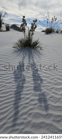 Image from White Sands National Park, New Mexico, USA.