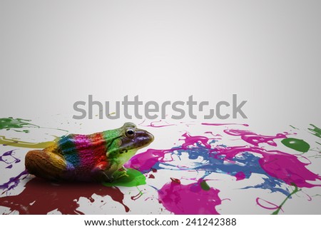 Colorful Frog with paint drops