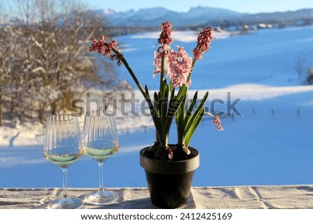 Winter, spring, pleasure and joie de vivre in one picture: blooming hyacinths, glasses of white wine in front of a snow-covered, dreamlike landscape with mountains. Allgäu, Bavaria.