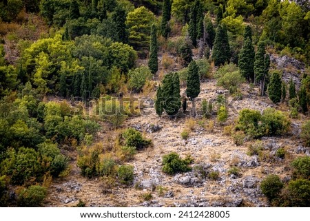 Beautiful photo of a hill covered with shrubs and green trees.