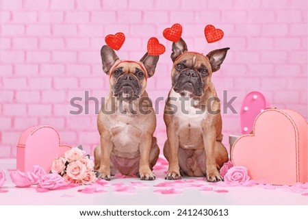 Valentine's Day Dogs. Pair of French Bulldogs with hearts. Royalty-Free Stock Photo #2412430613
