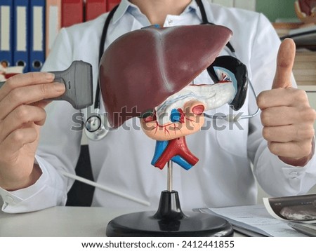 Ultrasound diagnosis of the stomach and liver of abdominal cavity in clinic doctor holds thumbs up. Ultrasound of liver and gallbladder cirrhosis of liver symptoms and treatment Royalty-Free Stock Photo #2412441855