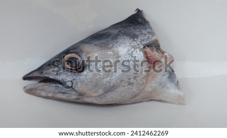 this is a picture of fresh fish