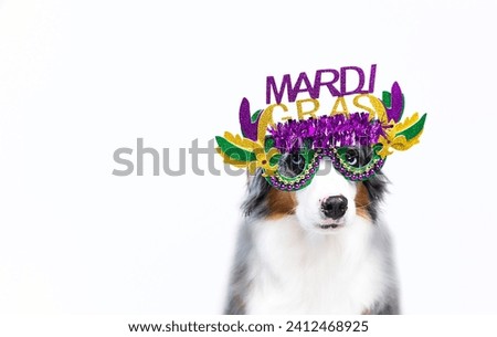 Dog wearing Mardi Gras glasses on white background. Funny and charming masquerade costume for pets celebrating holidays, New Orleans.  Royalty-Free Stock Photo #2412468925