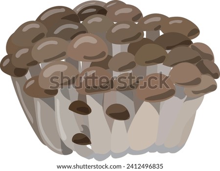 Clip art of shimeji Clip art of beech mushroom