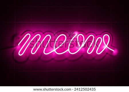 Neon meow sign glows in pink against dark night background. Decorative neon light for home, bar or wall decoration.
