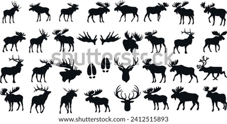 Moose silhouettes, moose vector collection. Various poses, antler sizes, perfect for logo design, decals, wall art. High-quality detailed outlines for editing and customization
