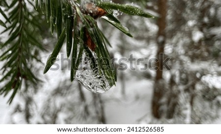 Frozen water on the Christmas tree