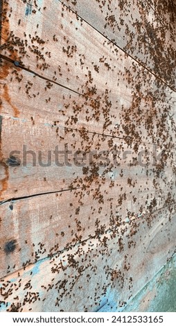 A swarm of fire ants is on a wooden plank
