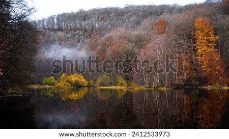 A scenic view at the lake on a calm autumn morning Royalty-Free Stock Photo #2412533973