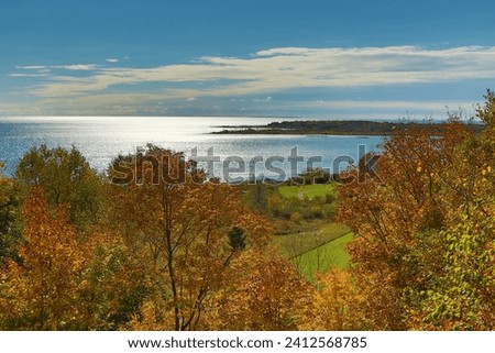 A picturesque scenery of a calm sea and blue sky captured from a shore with autums trees Royalty-Free Stock Photo #2412568785