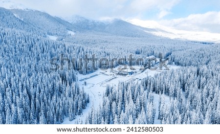 Beautiful Pokljuka in winter from above in the middle of Slovenia national park Triglavski narodni park Royalty-Free Stock Photo #2412580503