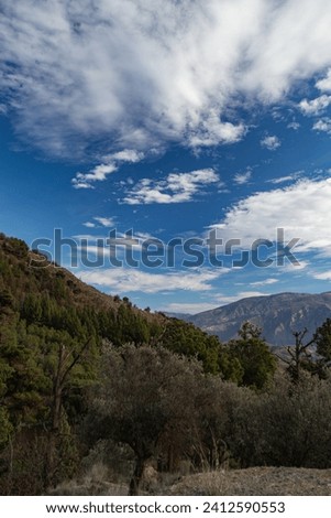 A blue sky over a green forest, Andalusia autumn, Spain