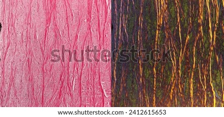 Human eye sclera stained with haematoxylin and eosin (HE, left) and seen under polarised light (right) that shows longitudinally sectioned collagen fibers bright and cross sectioned appear green Royalty-Free Stock Photo #2412615653