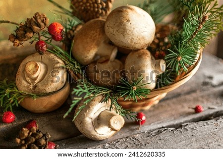 mushroom agriculture whire champignons food ingredient cook fresh raw wood green red brown healthy diet autumn decoration cones