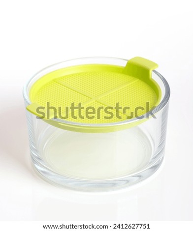 Germination bowl with yellow-green sieve. Sprouting dish for sprouting seeds, and for growing shoots on the windowsill. Easy sprouting without soil and on pure water basis. Close-up, side view. Photo.