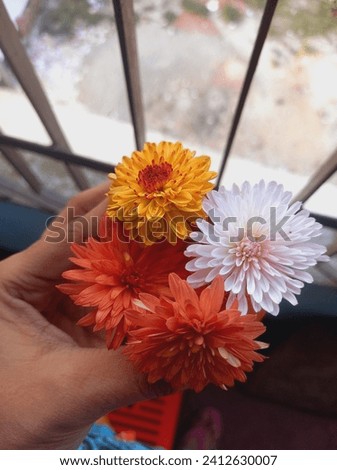 5 realflower stock photos from the best photographers are available ring stock photos available royalty-free.