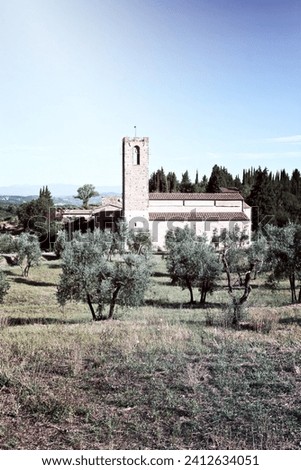 The Church in the Middle of an Olive Grove, Italy, Vintage Style Toned Picture