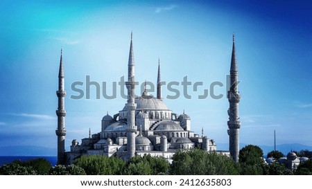 Panoramic view on the Blue mosque of Istanbul or Sultanahmet, historic famous religious landmark, great touristic place, Turkey Royalty-Free Stock Photo #2412635803