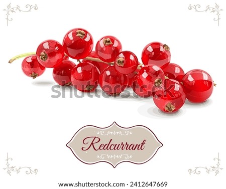 Realistic red currant branch isolated on white background. Vegetarian organic food. Vector Illustration. Royalty-Free Stock Photo #2412647669