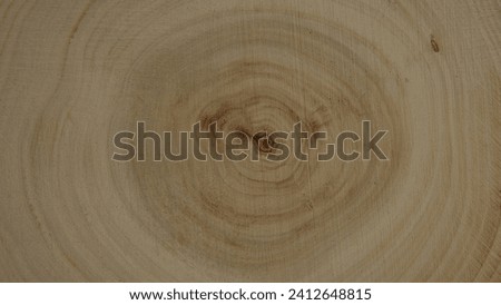 Tree rings close up wallpaper, background 6K image Royalty-Free Stock Photo #2412648815