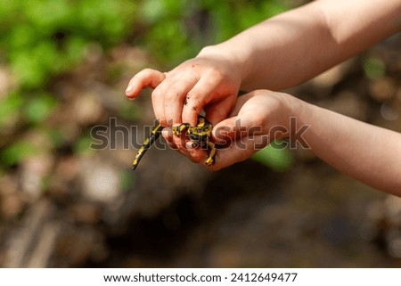 Fire salamander in children's handsn