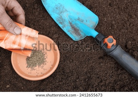 man digs out carrot seeds to sow on a plate . shovel and seeds to grow in vegetable garden Royalty-Free Stock Photo #2412655673