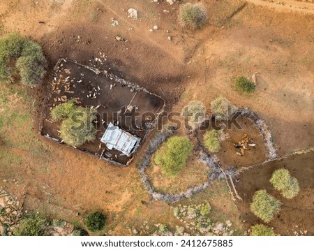 aerial view of kraal, goats inside the fence eating Royalty-Free Stock Photo #2412675885
