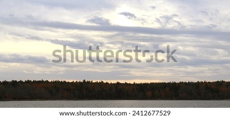 A tree line picture near water.