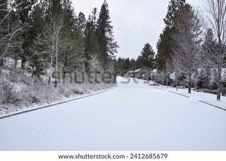 Snow winter trees background scenic road