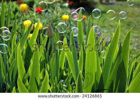 Spring balloons