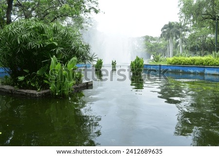 Beautiful Green Scenery Garden View Landscape Forest And Water Fall Nehru Park Fountain Picture