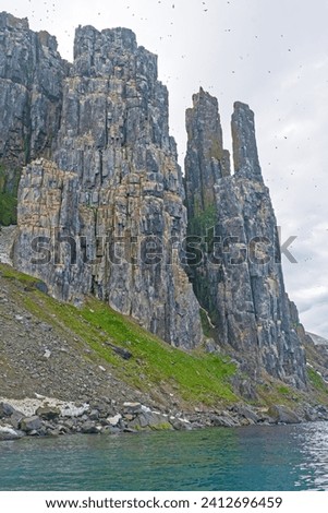 Swarms of Birds on Nesting Cliffs in the High Arctic at Alkefjellet in the Svalbard Islands Royalty-Free Stock Photo #2412696459