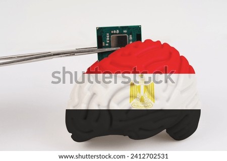On a white background, a model of the brain with a picture of a flag - Egypt,a microcircuit, a processor, is implanted into it. Close-up