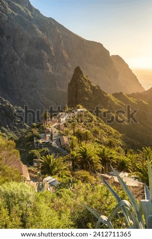 Landscape of the Masca valley at sunset in Tenerife, Canary island, Spain. Scenic mountain landscape with palm trees and tropical vegetation in Tenerife. Royalty-Free Stock Photo #2412711365