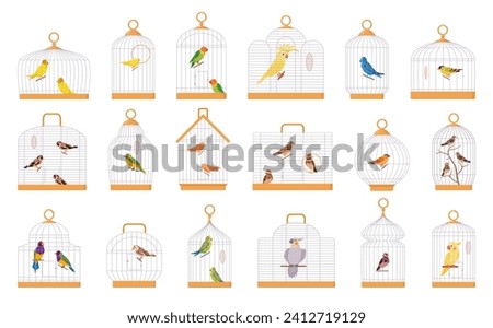 Cartoon bird cages. Exotic birds iron wire cages, decorative birds, parrot, finch, cute budgie, canary and cockatoo flat vector illustration set. Domestic birds sitting in cages Royalty-Free Stock Photo #2412719129