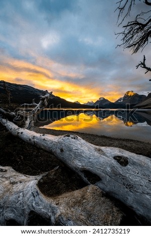 A fine art landscape photography image of Bow Lake during a vibrant and dynamic sunrise illuminated on the calm lake's surface on a gorgeous Autumn day in Banff Canada 