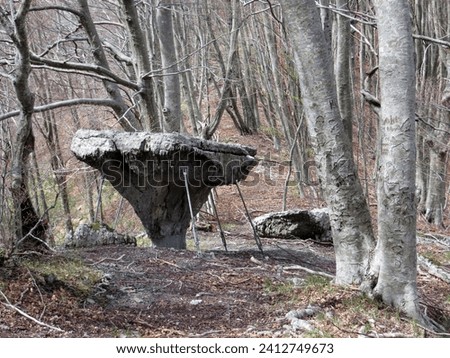 The "Tavola dei Briganti", a spectacular monolith of limestone rock about two meters high, stands at the foot of Montea (1825 m), in the municipality of Sant'Agata d'Esaro, in the Pollino National Par Royalty-Free Stock Photo #2412749673