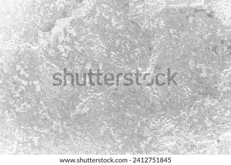 coral rocks texture stone background