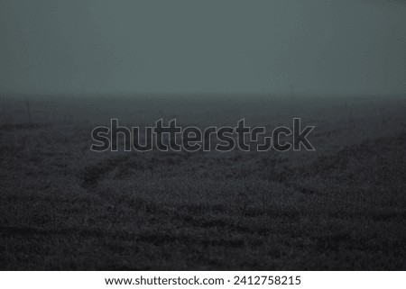 Dark gloomy field shrouded in mist creates eerie mysterious atmosphere. Short grass covers landscape with subtle path leading into distance. Limited visibility reveals faint outlines