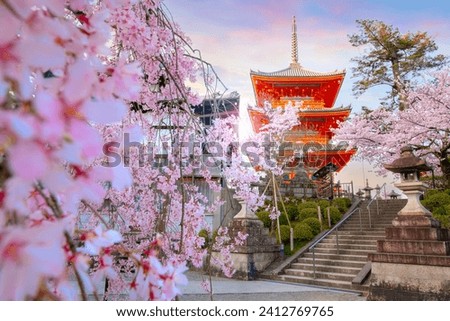 Kiyomizu-dera temple in Kyoto, Japan with beauiful full bloom sakura cherry blossom in spring Royalty-Free Stock Photo #2412769765
