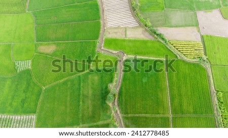 Extensive rice fields and farms in a small village in West Sumatra, Indonesia. photo using a drone