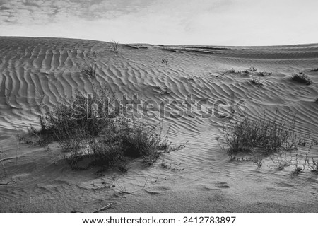 Tengri Desert in the Inner Mongolia Autonomous Region in China. Sunset picture with copy space for text, black and white