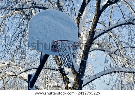 a basketball hoop is full of snow after a winter storm with snow and ice covered branches against a blue sky in the background