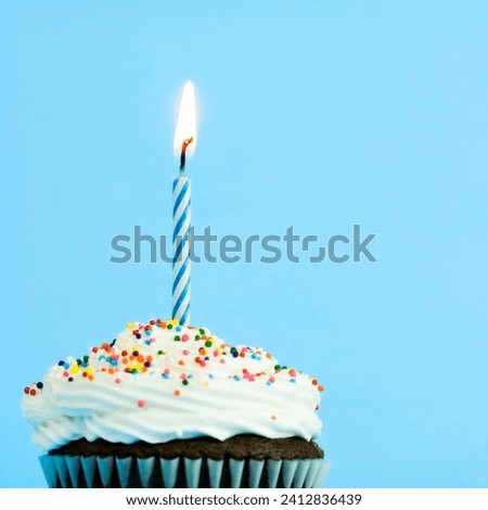 The image is of a birthday cake with a lit candle.