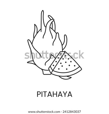 Pitahaya line icon in vector, dragon fruit illustration