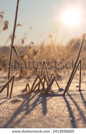 Frozen winter day in Finland. Image of frosty hays on a very cold winter day with blue sky and animal tracks. Image has a slight flare effect added. Beautiful wintry landscape wallpaper image.