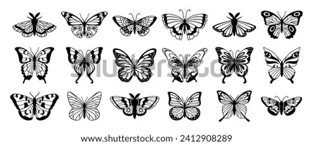 Butterfly silhouettes. Cute spring insects with openwork wings, flying butterfly. Winged insect, various detail beautiful moth decorative wildlife elements. Vector set. Tropical fluttering creatures