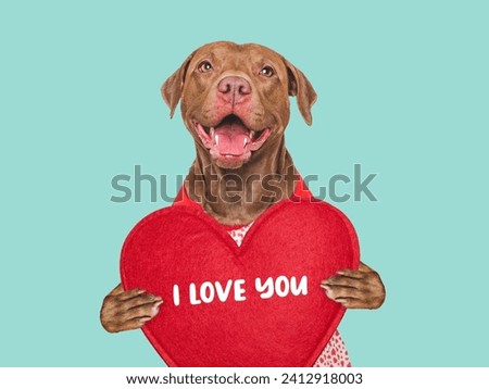I Love You. Lovable dog and congratulatory inscription. Closeup, indoors. Studio shot. Congratulations for family, relatives, loved ones, friends and colleagues. Pet care concept Royalty-Free Stock Photo #2412918003